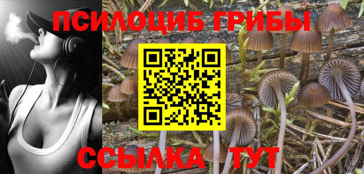 Галлюциногенные грибы MAGIC MUSHROOMS Нижнекамск