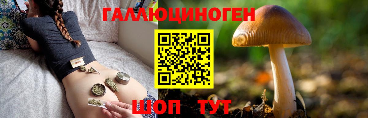 Нижнекамск  Псилоцибиновые грибы мухоморы  Вход с VPN 